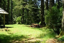 photo showing grassy clearing around picnic shelter