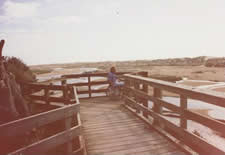 viewing platform running out over dunes with wheelchair at end