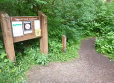 Sweet Creek Trailhead sign