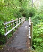 Wooden trail bridge along Sweet Creek Trail