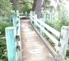 Wooden trail bridge along Taylor Dune Trail