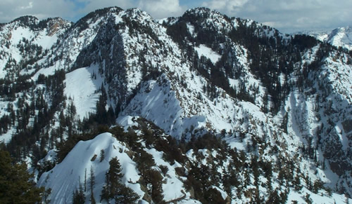 Photo of steep rugged mountains with pines covered in snow taken by Bruce Tremper.