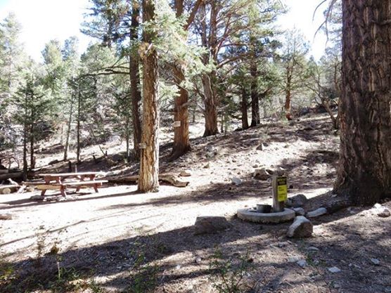 This is a photo of the trail camp that's along the PCT near Onyx Summit