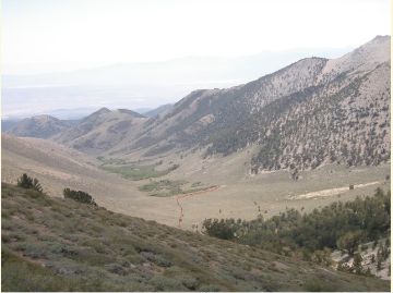 Boundary Peak Trail : 405 Photos - Nevada, Randonnée