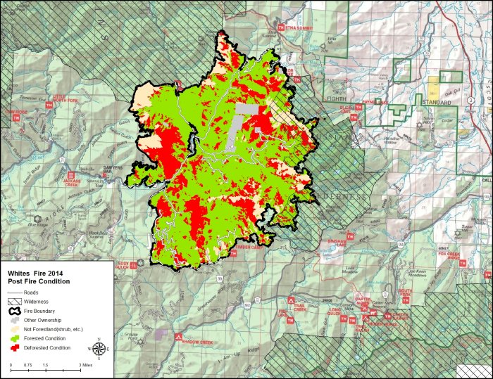 Fire boundary shown with areas of forested, deforested, and not forested forestland.