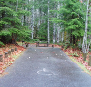 Accessible campsite at Brown Creek Campground.