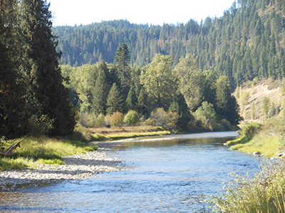 View of the North Fork Coeur d'Alene River.