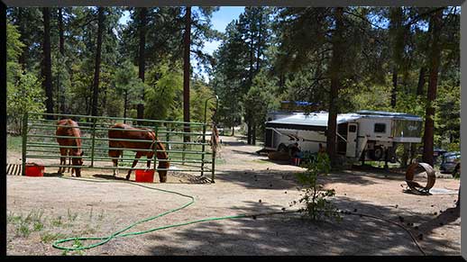 Campsite in Groom Creek Horse Camp