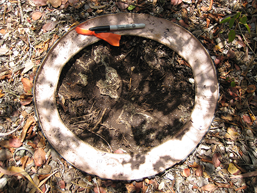 Tire ring for ground and soil sampling on Mona Island.