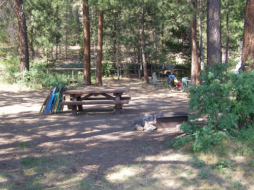 Campsite in an open forested setting.