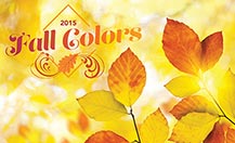 2015 Fall Colors links to national fall colors web page