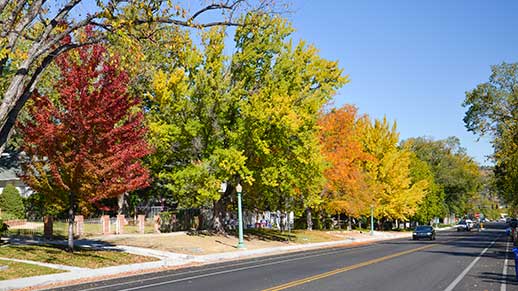 Green, red, orange, and gold trees line Mount Vernon Street in Prescott