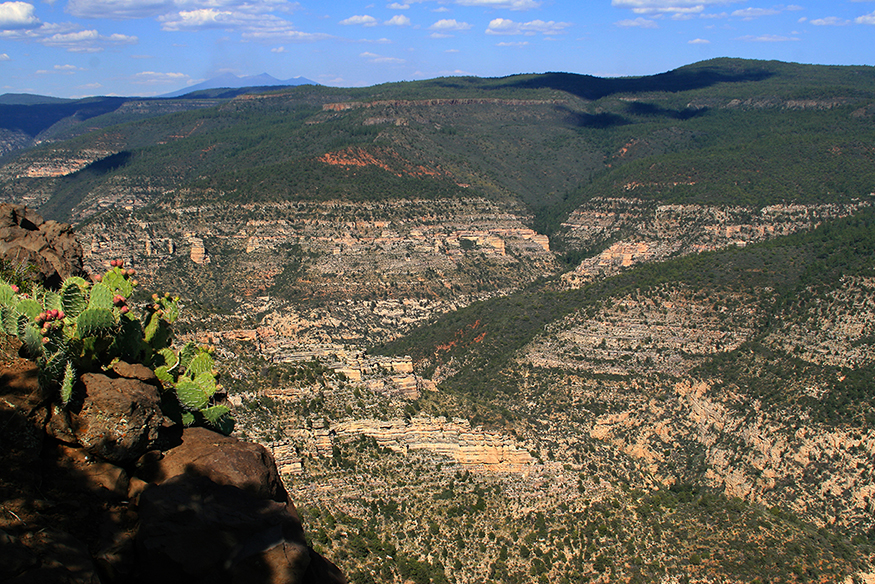A wide shot of Sycamore Canyon with mountains