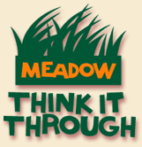 Meadow - Think It Through