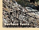 Surface fuels