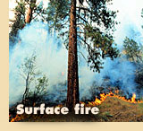 Surface fire
