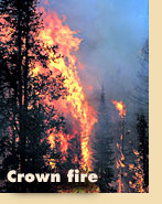 Crown fire