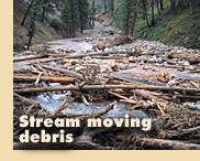 Stream moving debris