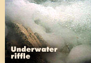 Underwater riffle