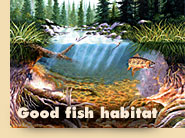Good fish habitat