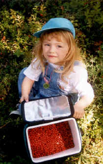 Lindsey & her Cranberries