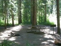 Photo of a a shady campsite at Kit Price Campground