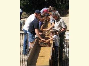 People of various ages washing garnet-bearing gravel in a sluice.
