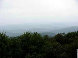 View from Bickle Knob Observation Tower