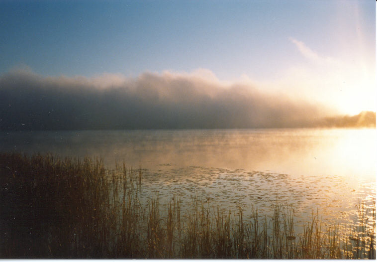 Sun on Water with a little Fog