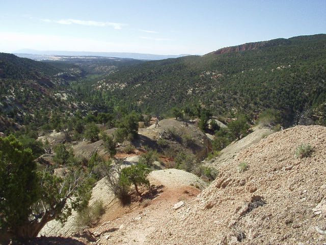 Descending in Sand Creek on the Coleman trail