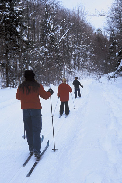 Skier's at Valley Spur