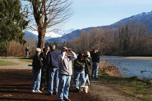 Eagle watchers at Milepost 100 on the Skagit River in winter.