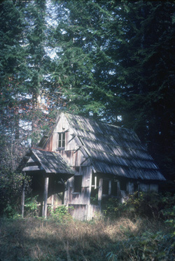 Old cabin at Morovitz Ranch.