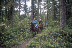 Horseback riders on trail.