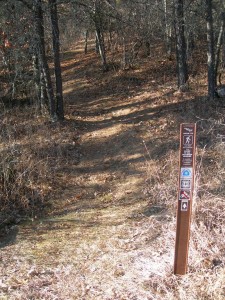 Segment of north country trail on the chippewa