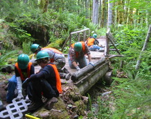 Discovery Team builds trail for the Forest
