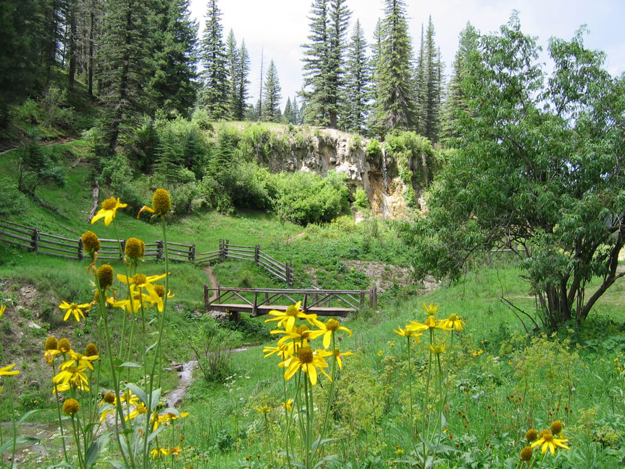 meadow at Bluff Springs