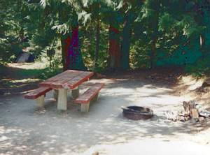 Picnic table and fire pit at Indigo Springs Campground