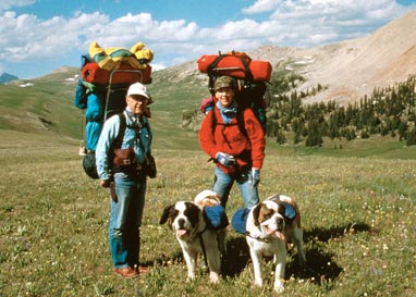 Photo of People Hiking with Dogs
