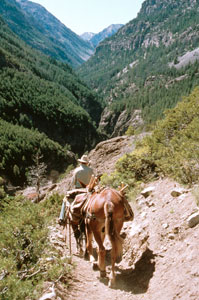 Photo of person riding horses near Deer Creek