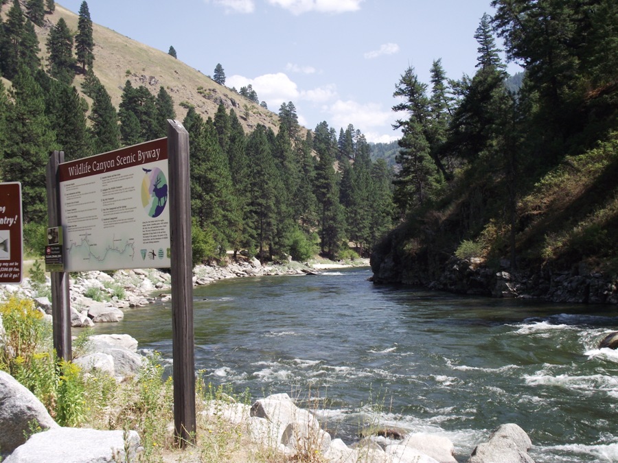 View along South Fork Payette River