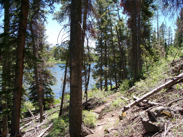 View of Posey Lake from the Posey Spur trail
