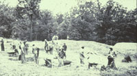 (image) construction of the Clear Creek Dam by CCC crews using picks, shovel and wheelbarrow.