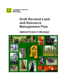 Cover page for the Forest Plan Revision document