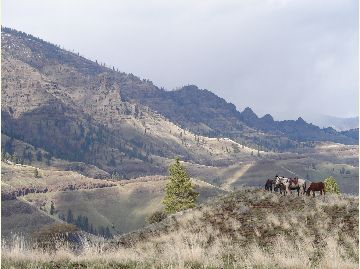 Image of mountain grassland bench with horses and riders