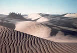 Wind sculpted and rippled expanse of dunes