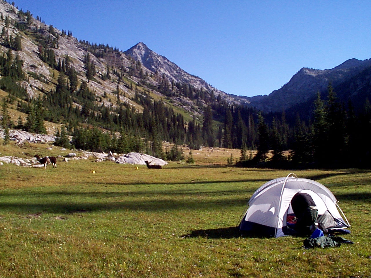Small camp tent located in a mountain meadows with peaks in background