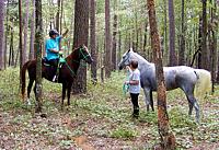 Horse riders conversing in the forest