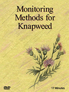 Monitoring Methods for Knapweed video cover. 