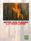 After the Flames and A Year Later video cover. 